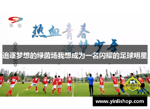 追逐梦想的绿茵场我想成为一名闪耀的足球明星